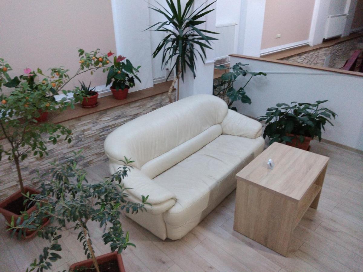 Pensiunea Casa Rusu Baia Mare Exterior photo